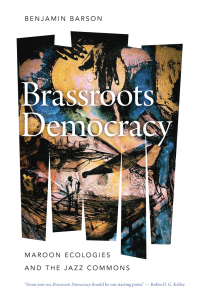  Book Cover: Brassroots Democracy