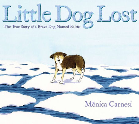 Little dog lost book cover of a dog standing on ice caps